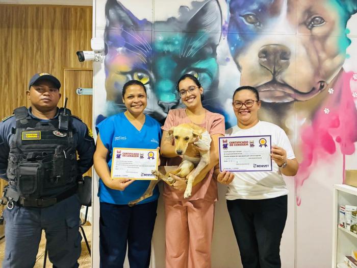 Cão 'charuto' resgatado após maus-tratos recebe alta e busca novo lar