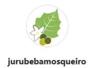 Hotel & Restaurante Jurubeba (Ilha de Mosqueiro)