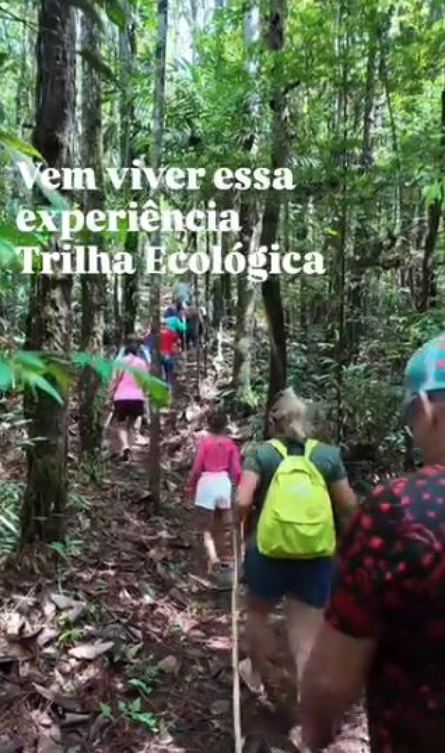 Sítio Pinheiral - Trilha Ecológica - Turismo