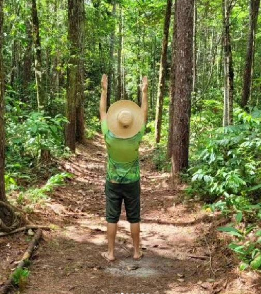 Sítio Pinheiral - Trilha Ecológica - Turismo